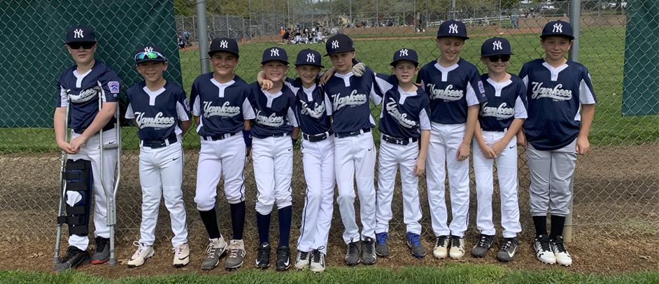 little league yankees